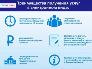 Жители Воскресенского округа могут получить массовые социально значимые услуги в электронном виде